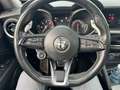 Alfa Romeo Stelvio 2.2 Veloce Q4 - PROMO FINANZIAMENTO - Alb - thumbnail 15