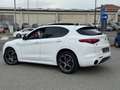 Alfa Romeo Stelvio 2.2 Veloce Q4 - PROMO FINANZIAMENTO - Alb - thumbnail 5