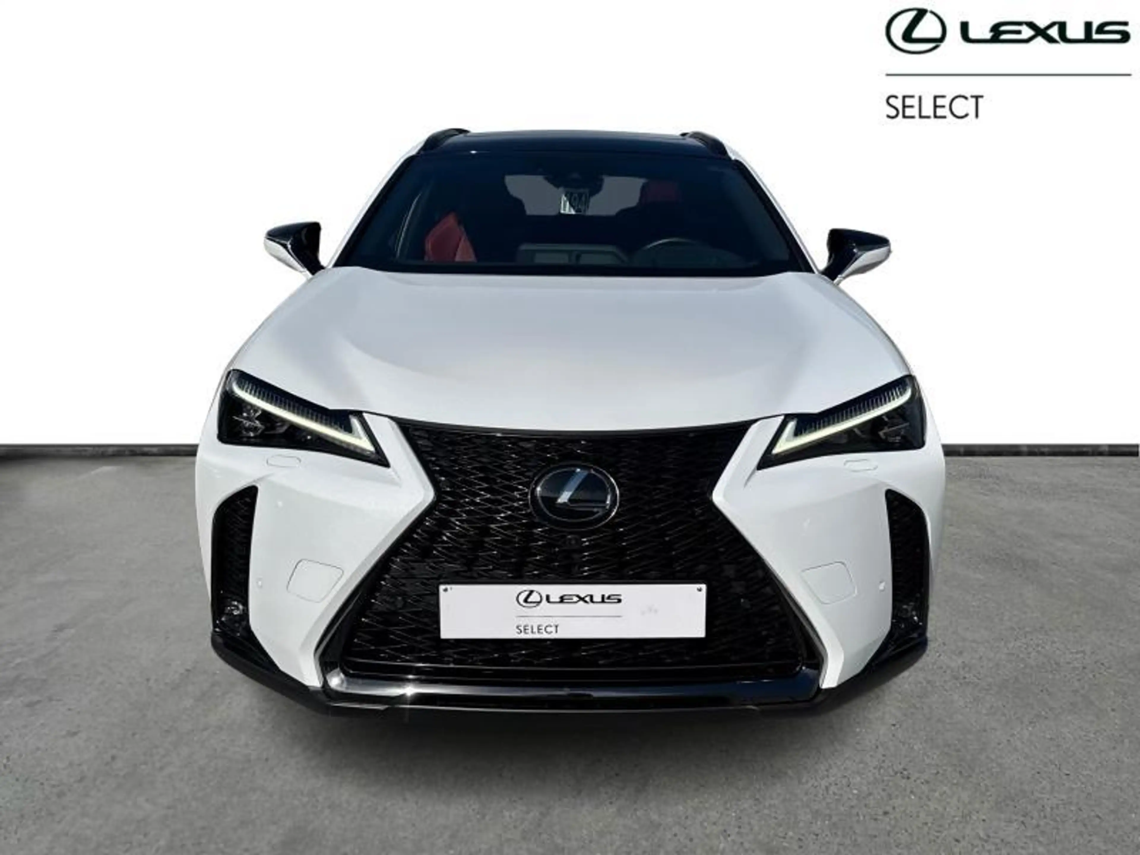 Lexus UX 250h 184hp HEV F-Sport Line | 360° Camera | camera — photo 5