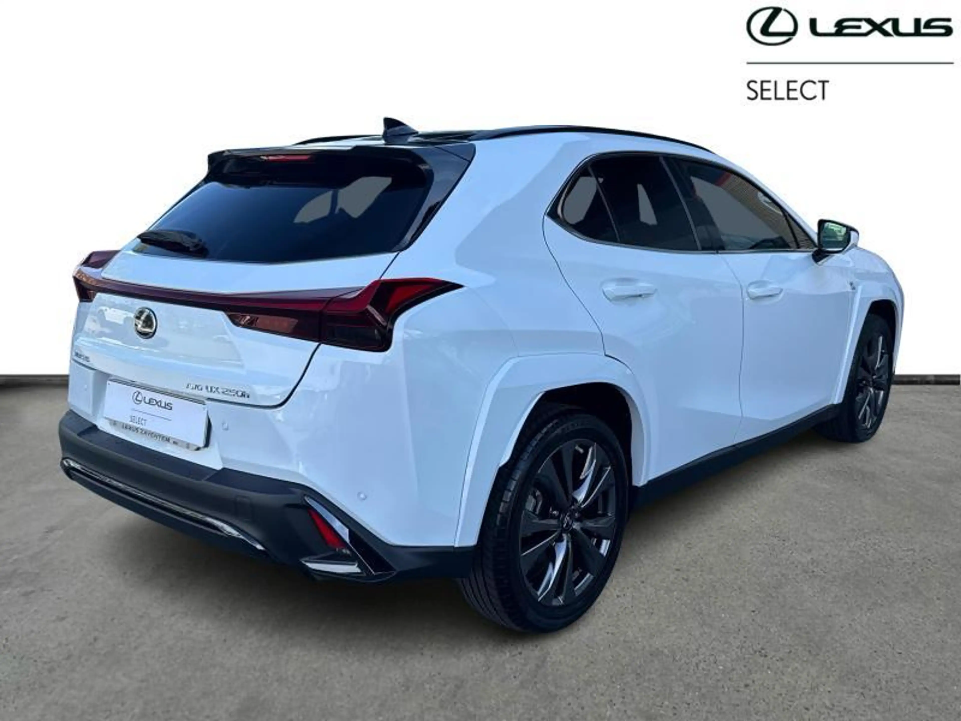 Lexus UX 250h 184hp HEV F-Sport Line | 360° Camera | camera — photo 15
