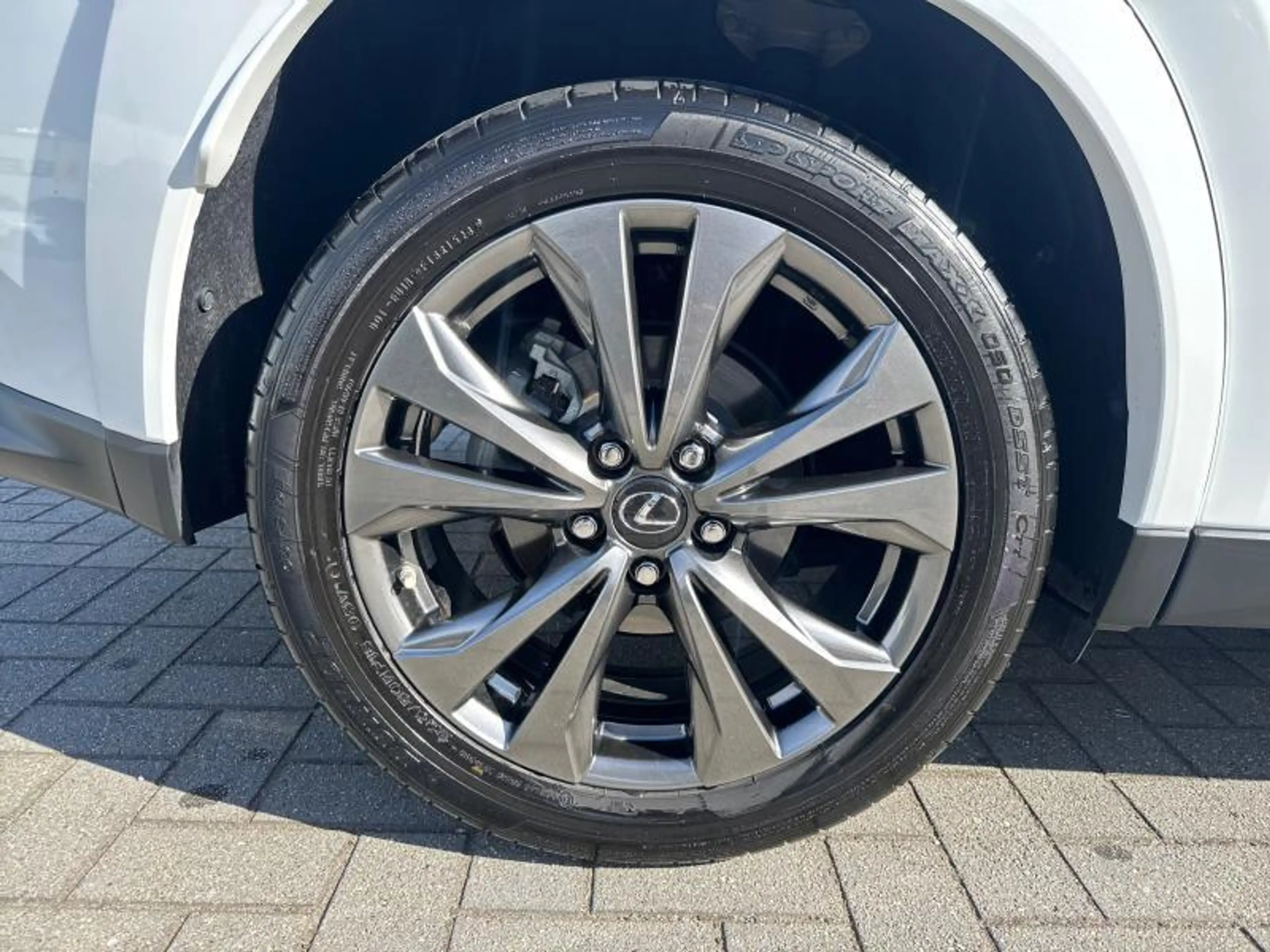 Lexus UX 250h 184hp HEV F-Sport Line | 360° Camera | camera — photo 13