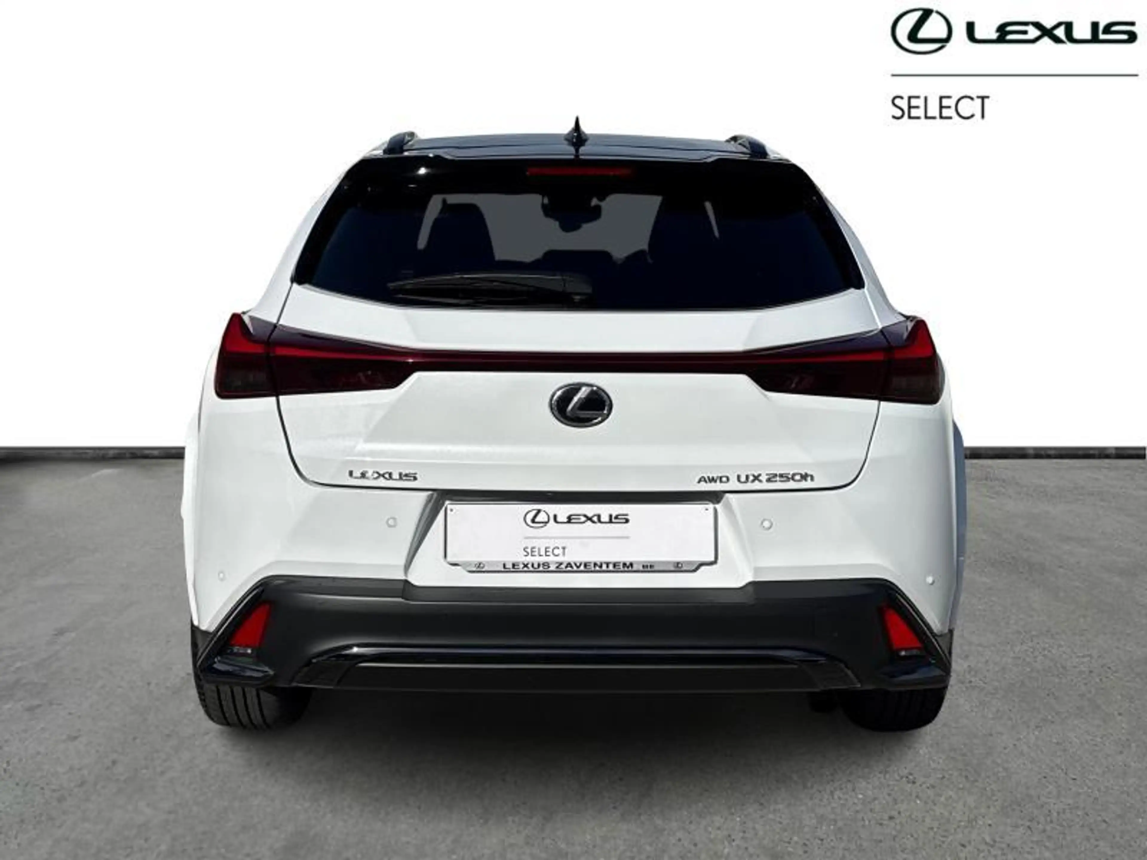 Lexus UX 250h 184hp HEV F-Sport Line | 360° Camera | camera — photo 4