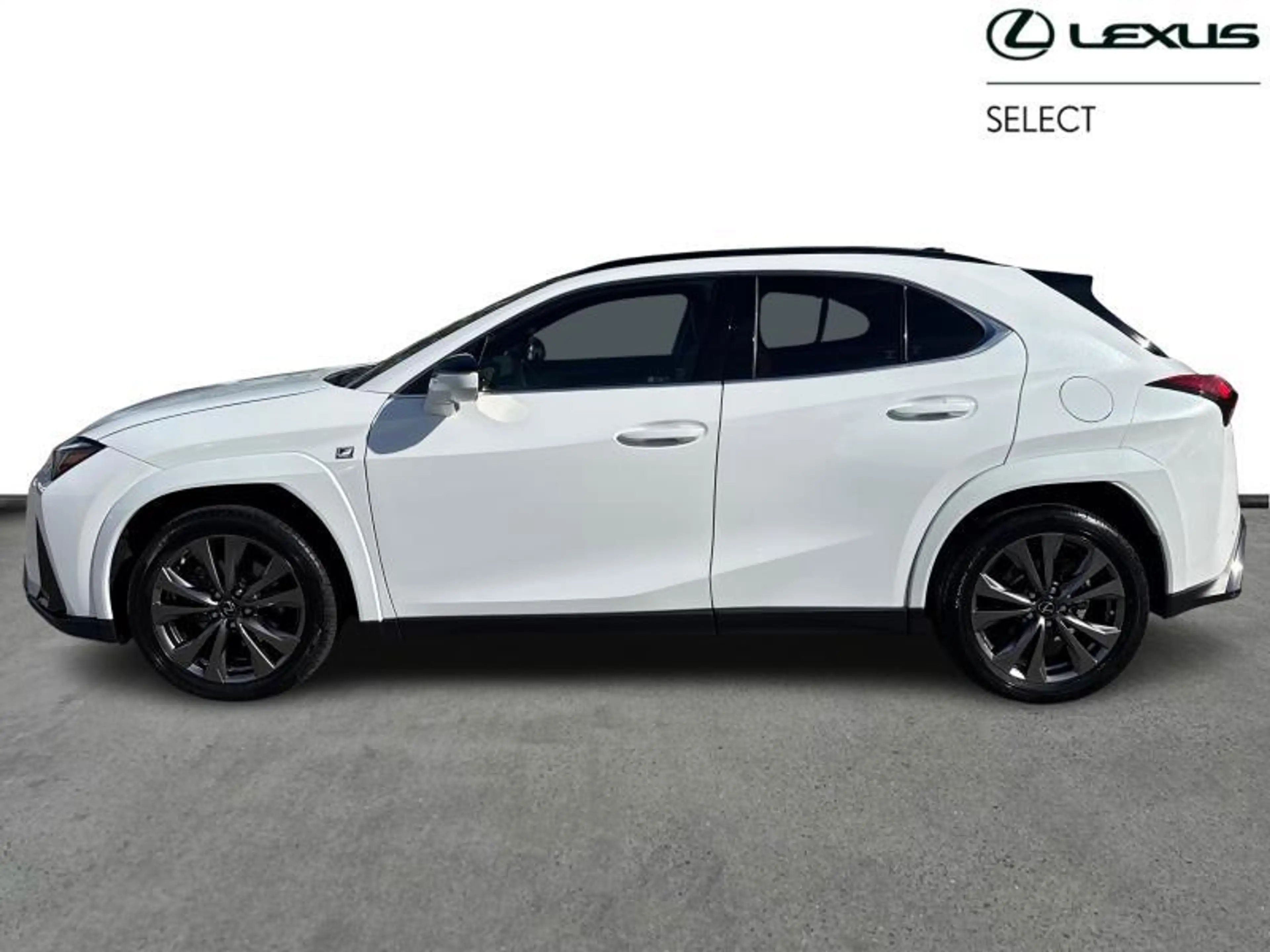 Lexus UX 250h 184hp HEV F-Sport Line | 360° Camera | camera — photo 3