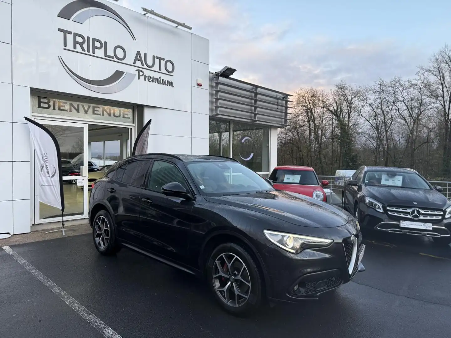 Alfa Romeo Stelvio Stelvio 2.2 D - 210 - BVA Super Q4 - CARPLAY + CAMERA AR + GPS Noir - 1