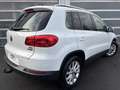 Volkswagen Tiguan 2.0 TDI 110 FAP Bluemotion Technology Carat - thumbnail 2