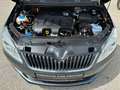 Skoda Roomster Ambition Pickerl neu! Grau - thumbnail 9