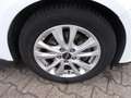 Ford C-Max 1.5, Navi Park ass., Allwetter, SHZ Weiß - thumbnail 9