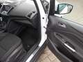 Ford C-Max 1.5, Navi Park ass., Allwetter, SHZ Blanco - thumbnail 27
