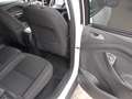 Ford C-Max 1.5, Navi Park ass., Allwetter, SHZ Blanco - thumbnail 25