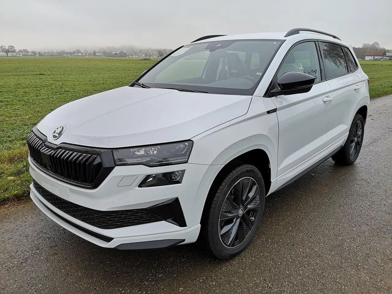 Skoda Karoq Sportline 1.5TSI DSG AHK Matrix ACC Navi 140 kW... — photo 1 of 10