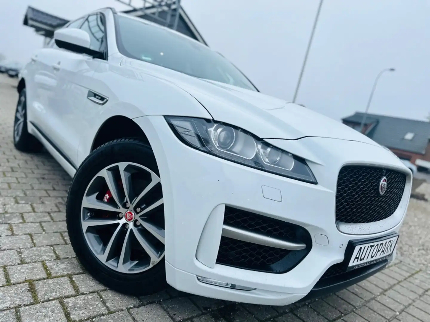 Jaguar F-Pace F-PACE R-Sport AWD *LEDER*PANORAMADACH* Bianco - 1