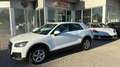 Audi Q2 30 TFSI Business IVA ESPOSTA IDONEA NEOPATENTATI Weiß - thumbnail 5
