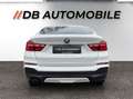 BMW X4 xDrive 20d Österreich-Paket Aut. Weiß - thumbnail 6