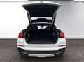 BMW X4 xDrive 20d Österreich-Paket Aut. Weiß - thumbnail 11