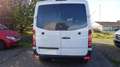 Mercedes-Benz Sprinter II Kasten 310/311/313/314/316 CDI Weiß - thumbnail 5