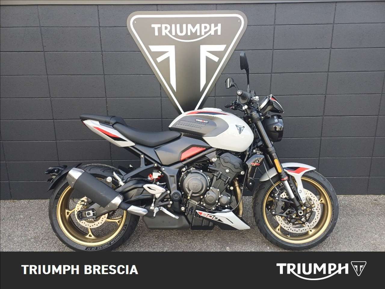 Triumph Ash Grey Abs