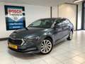 Skoda Octavia Combi 1.4 TSI iV PHEV Business Edition Trekhaak te Gris - thumbnail 1