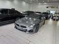 BMW Z4 20i M-Sport C19" Pelle Navi Paddle MSport M Camera Сірий - thumbnail 10