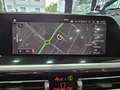 BMW Z4 20i M-Sport C19" Pelle Navi Paddle MSport M Camera Grau - thumbnail 29