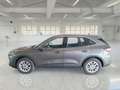 Ford Kuga 1.5 EcoBlue 120CV 2WD Titanium Business Auto - thumbnail 5