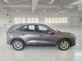 Ford Kuga 1.5 EcoBlue 120CV 2WD Titanium Business Auto - thumbnail 3