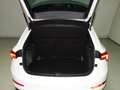 Skoda Scala Weiß - thumbnail 31