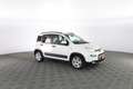 Fiat Panda 1.0 FireFly Hybrid City Life Bianco - thumbnail 2