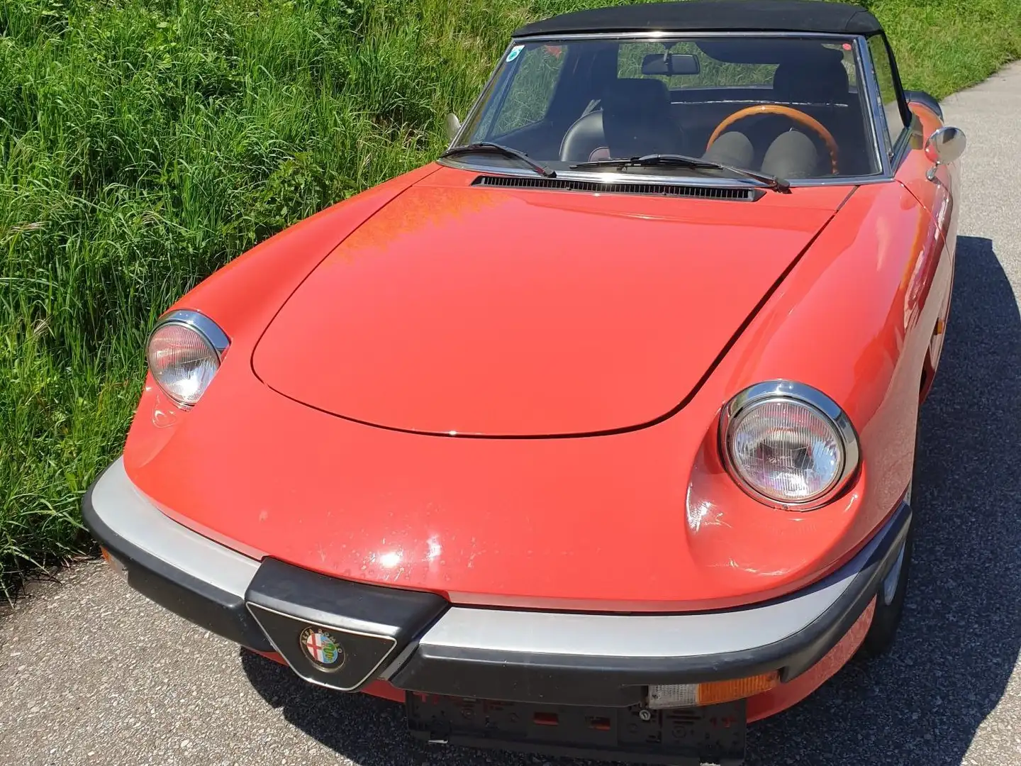 Alfa Romeo Spider Rot - 1