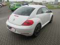 Volkswagen Beetle "Sitzheizung" Weiß - thumbnail 4