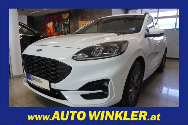 Ford Kuga main image