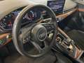Audi A4 Avant 45 TDI quattro /KAMERA / Standheizung Grau - thumbnail 10