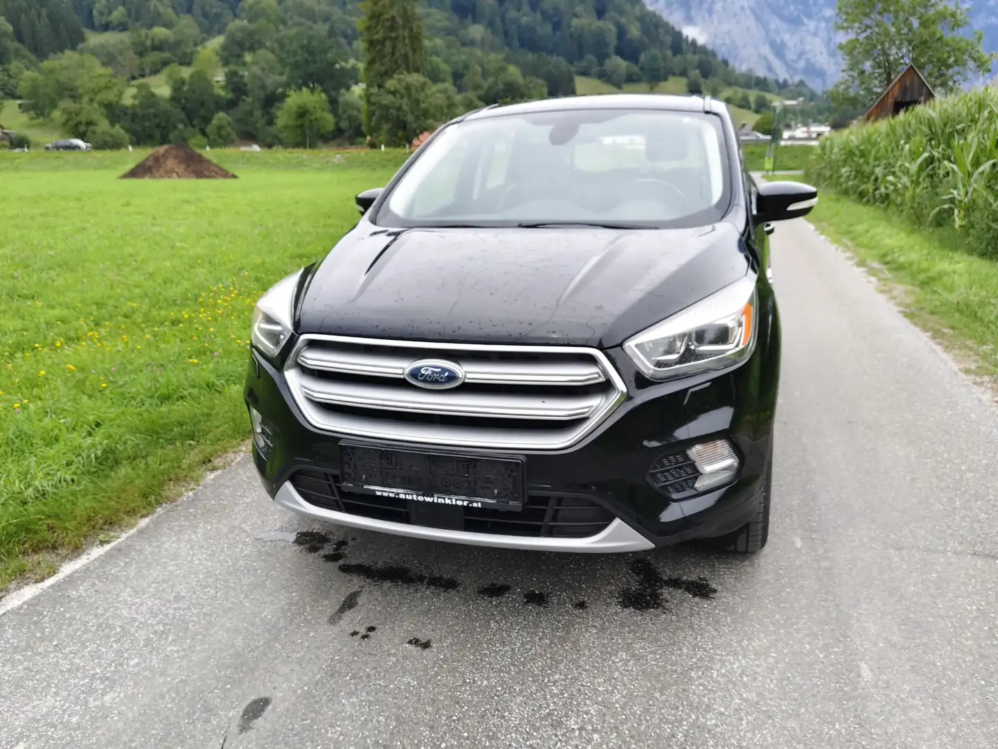 Ford Kuga 1.5 TDCi 2x4 Titanium - 2