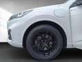 Ford Kuga Plug-In Hybrid ST-Line X 2.5 Duratec -PHEV EU6d-T Wit - thumbnail 20