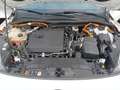 Ford Kuga Plug-In Hybrid ST-Line X 2.5 Duratec -PHEV EU6d-T Wit - thumbnail 19