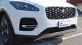 Jaguar E-Pace 2.0D I4 163 CV AWD Auto S Grau - thumbnail 20