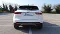 Jaguar E-Pace 2.0D I4 163 CV AWD Auto S Grau - thumbnail 25