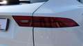 Jaguar E-Pace 2.0D I4 163 CV AWD Auto S Grau - thumbnail 30