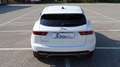 Jaguar E-Pace 2.0D I4 163 CV AWD Auto S Grau - thumbnail 26