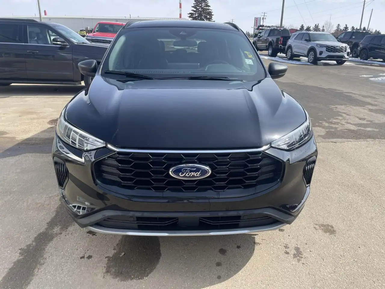 Ford Escape снимка Ford Escape