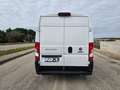 Fiat Ducato 33 2.3 MJT 140CV L3H2 Furg.Maxi Bianco - thumbnail 7