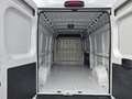 Fiat Ducato 33 2.3 MJT 140CV L3H2 Furg.Maxi Bianco - thumbnail 9