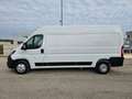 Fiat Ducato 33 2.3 MJT 140CV L3H2 Furg.Maxi Bianco - thumbnail 11