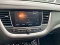 Opel Grandland X GRANDLAND X 120 Jahre Edition 2,0 177PS 8G Automat Weiß - thumbnail 19