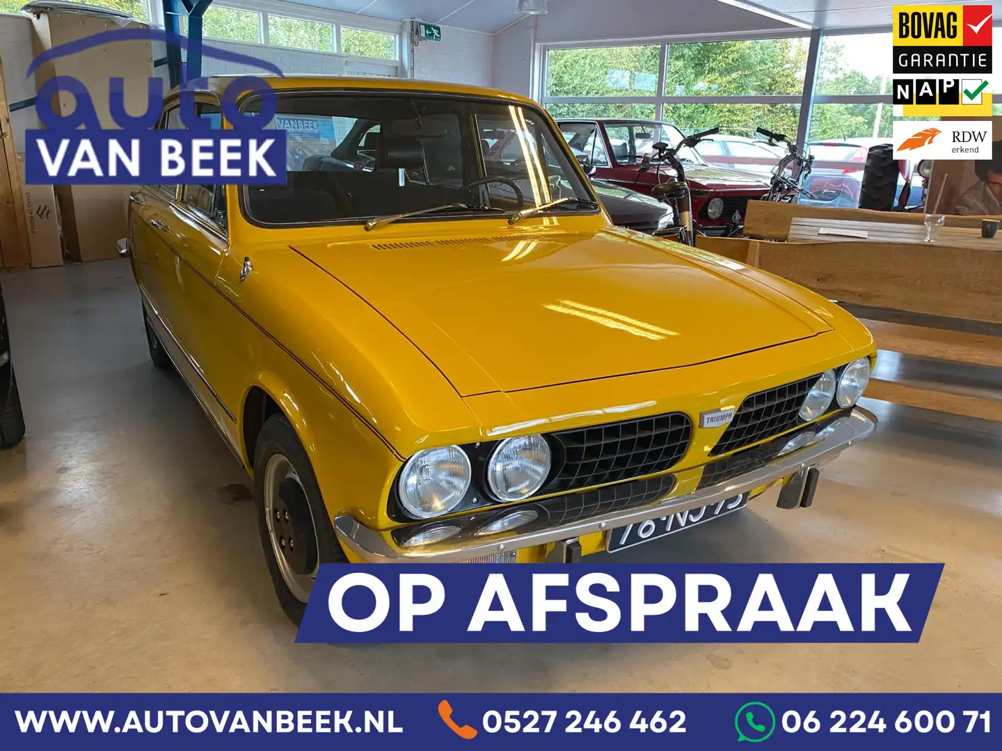 Triumph Dolomite HL Geel - 1