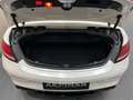 Mercedes-Benz C 63 AMG C63 S AMG Cabrio *NIGHT*BURM*SITZKLIMA* Weiß - thumbnail 18