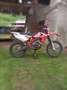 Beta RR 400 Factory Biały - thumbnail 1