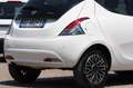 Lancia Ypsilon 1.0 FireFly 5 porte S&S Hybrid Ecochic Gold Bianco - thumbnail 11