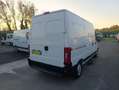 Fiat Ducato Ducato 15 2.8 JTD Bianco - thumbnail 3
