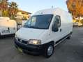 Fiat Ducato Ducato 15 2.8 JTD Bianco - thumbnail 2