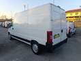 Fiat Ducato Ducato 15 2.8 JTD Bianco - thumbnail 4